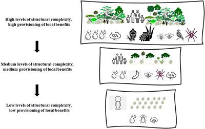 Editorial: Agroforestry With Perennial Crops, and the Contradictions Between Commodity Production and Local Benefits